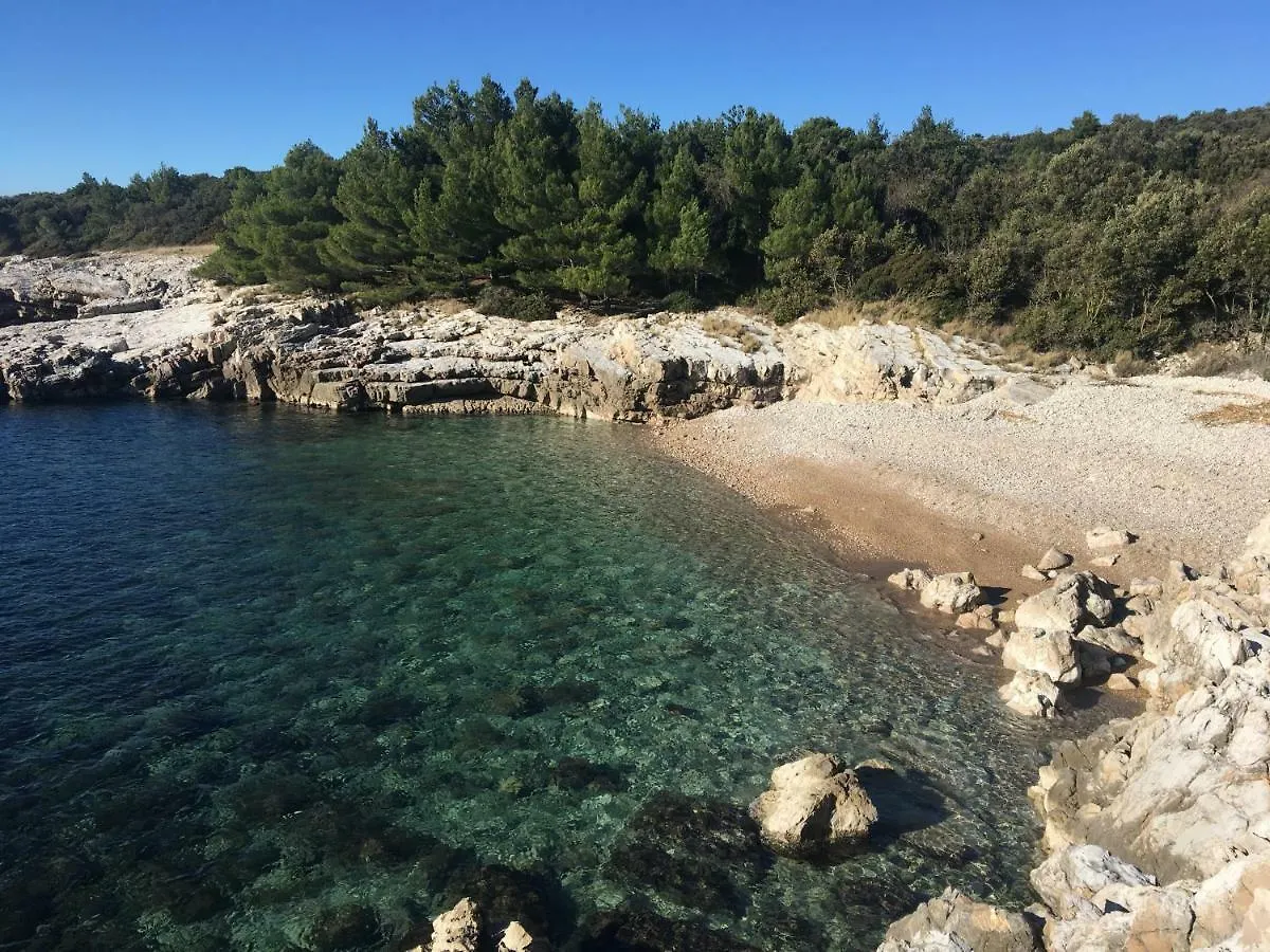 Villa Olea Koromačno 0*,
